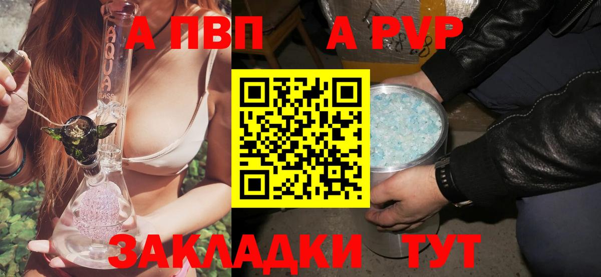 Alfa_PVP СК КРИС Пенза