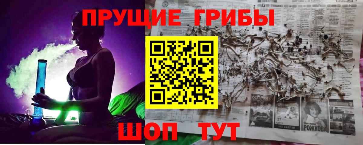 Галлюциногенные грибы Psilocybine cubensis Пенза