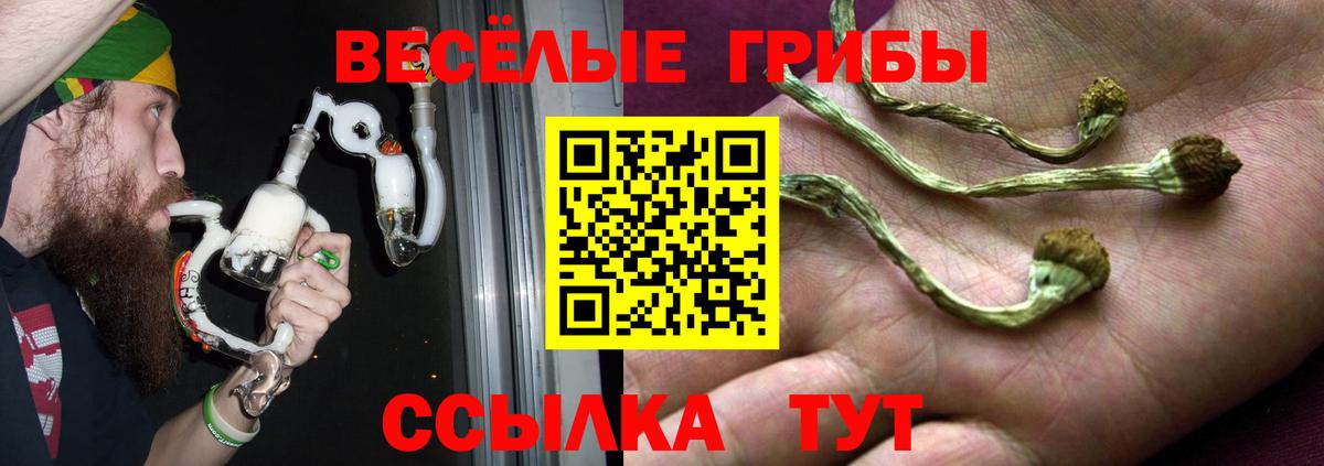 цены   Псилоцибиновые грибы мицелий  Вход с VPN  Пенза 